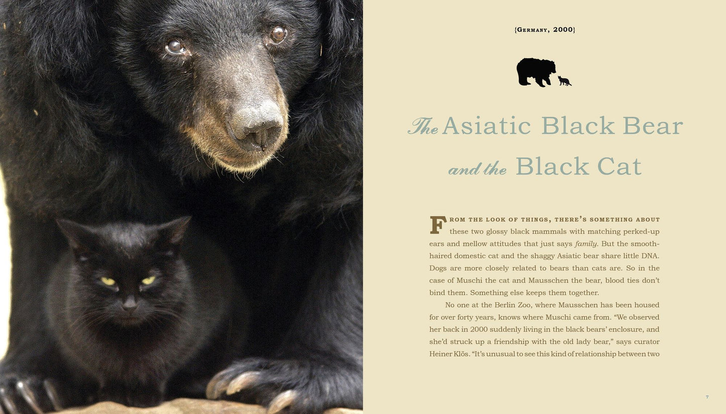 Unlikely Friendships: 50 Remarkable Stories from the Animal Kingdom
