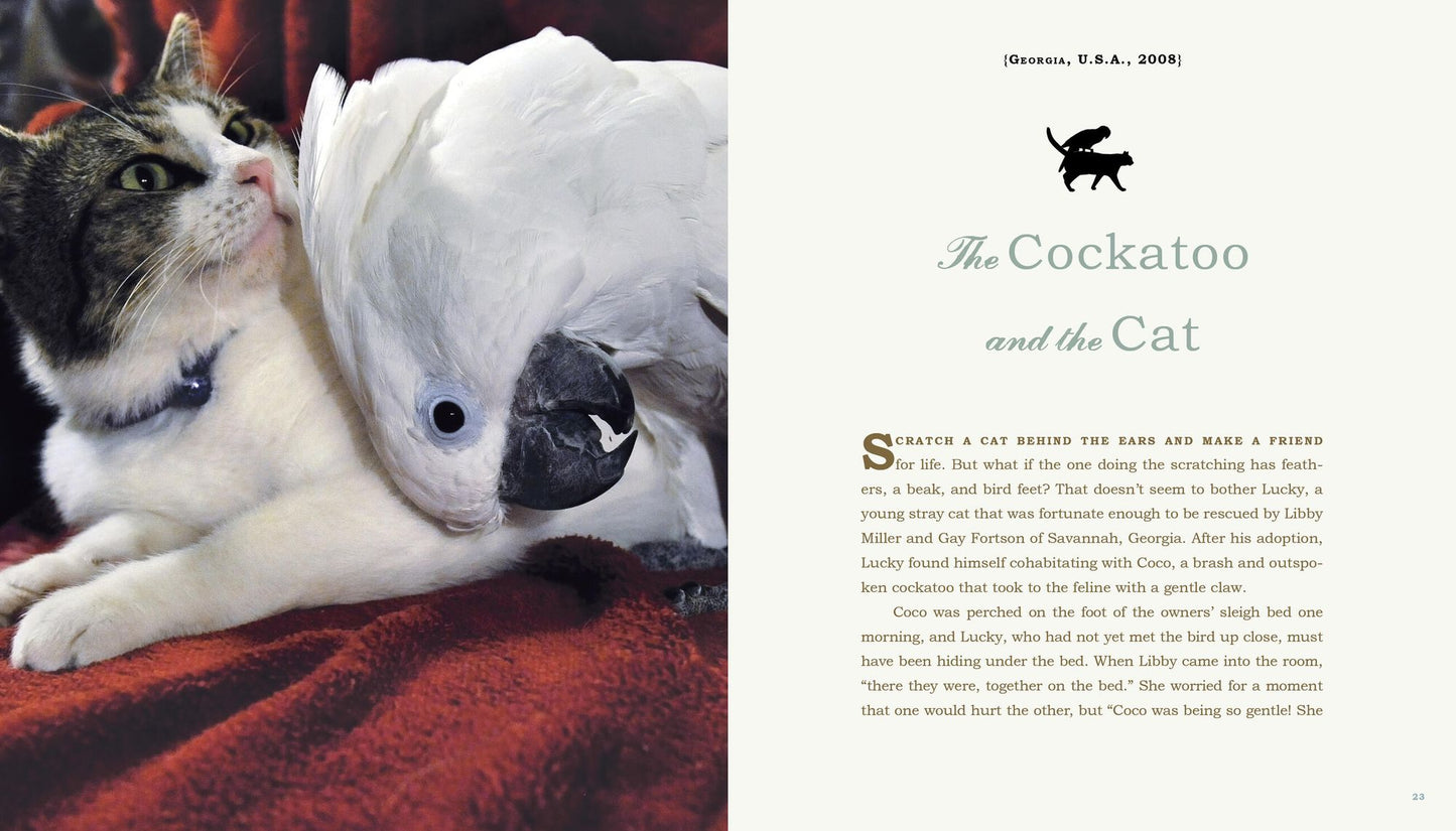 Unlikely Friendships: 50 Remarkable Stories from the Animal Kingdom