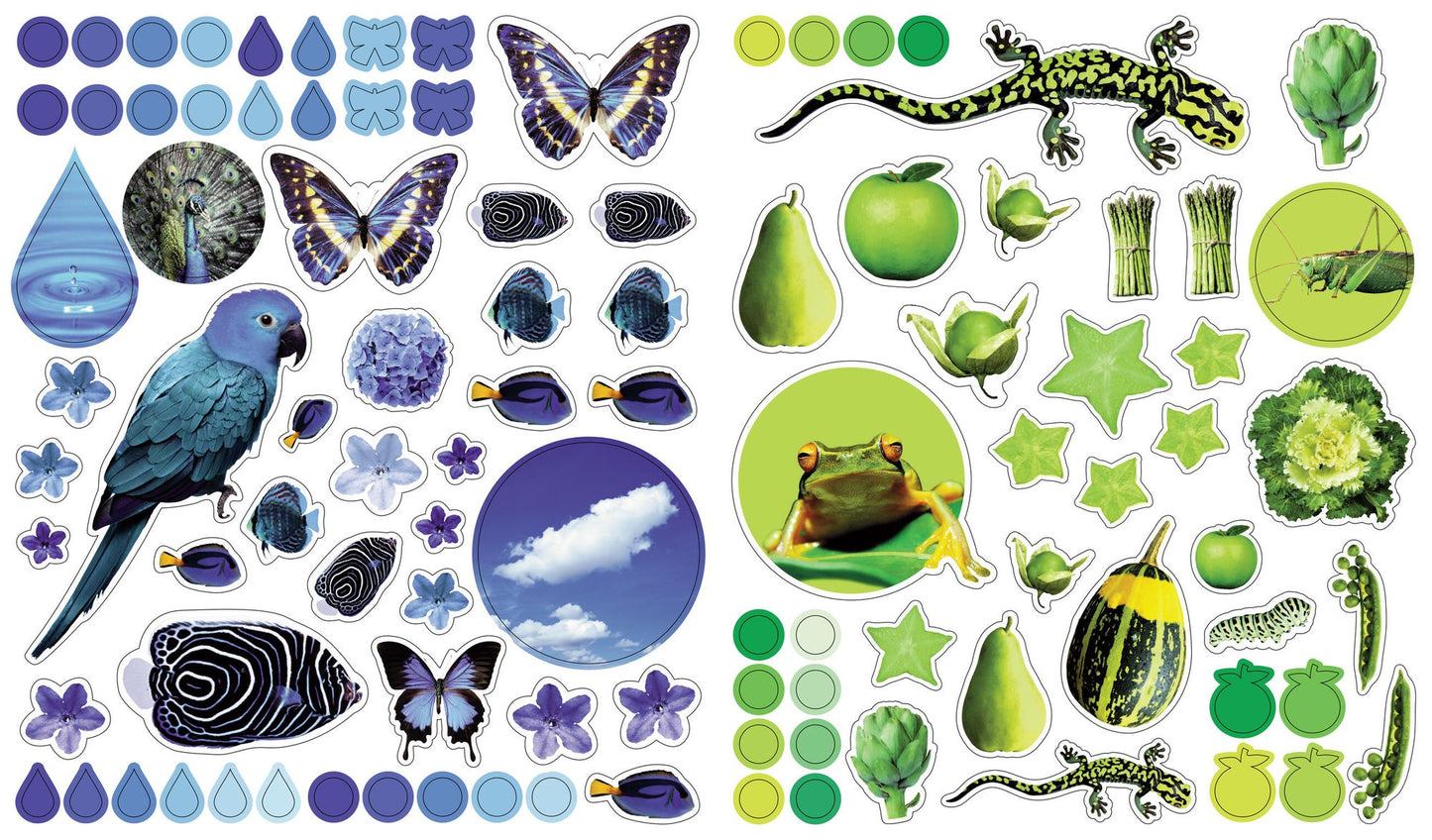 Eyelike Stickers: Colors