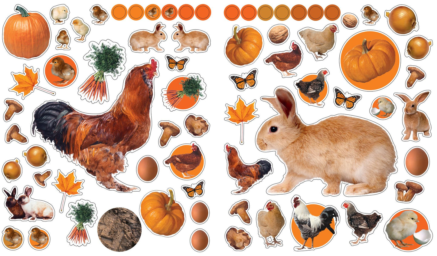 Eyelike Stickers: On the Farm