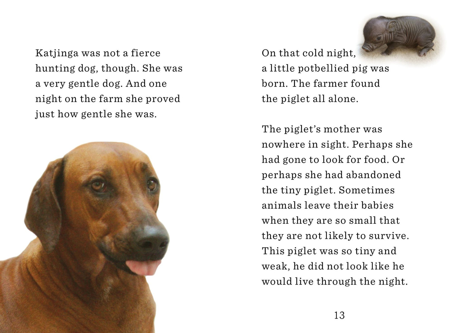 Unlikely Friendships for Kids: The Dog & The Piglet: And Four Other Stories of Animal Friendships