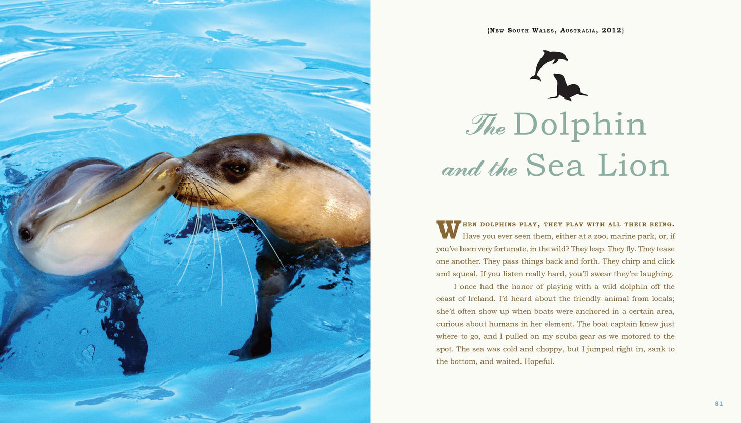 Unlikely Loves: 43 Heartwarming True Stories from the Animal Kingdom