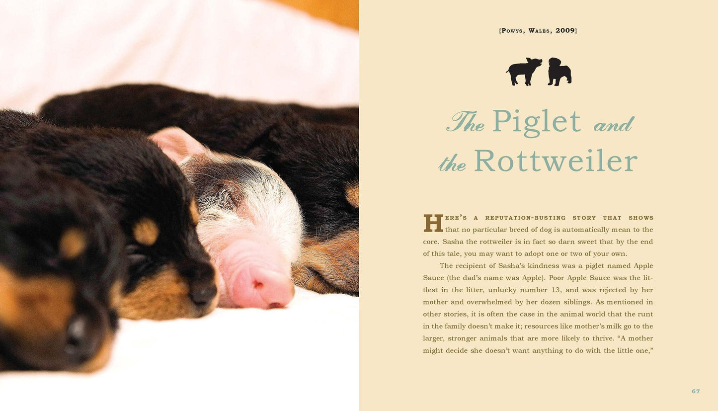 Unlikely Loves: 43 Heartwarming True Stories from the Animal Kingdom