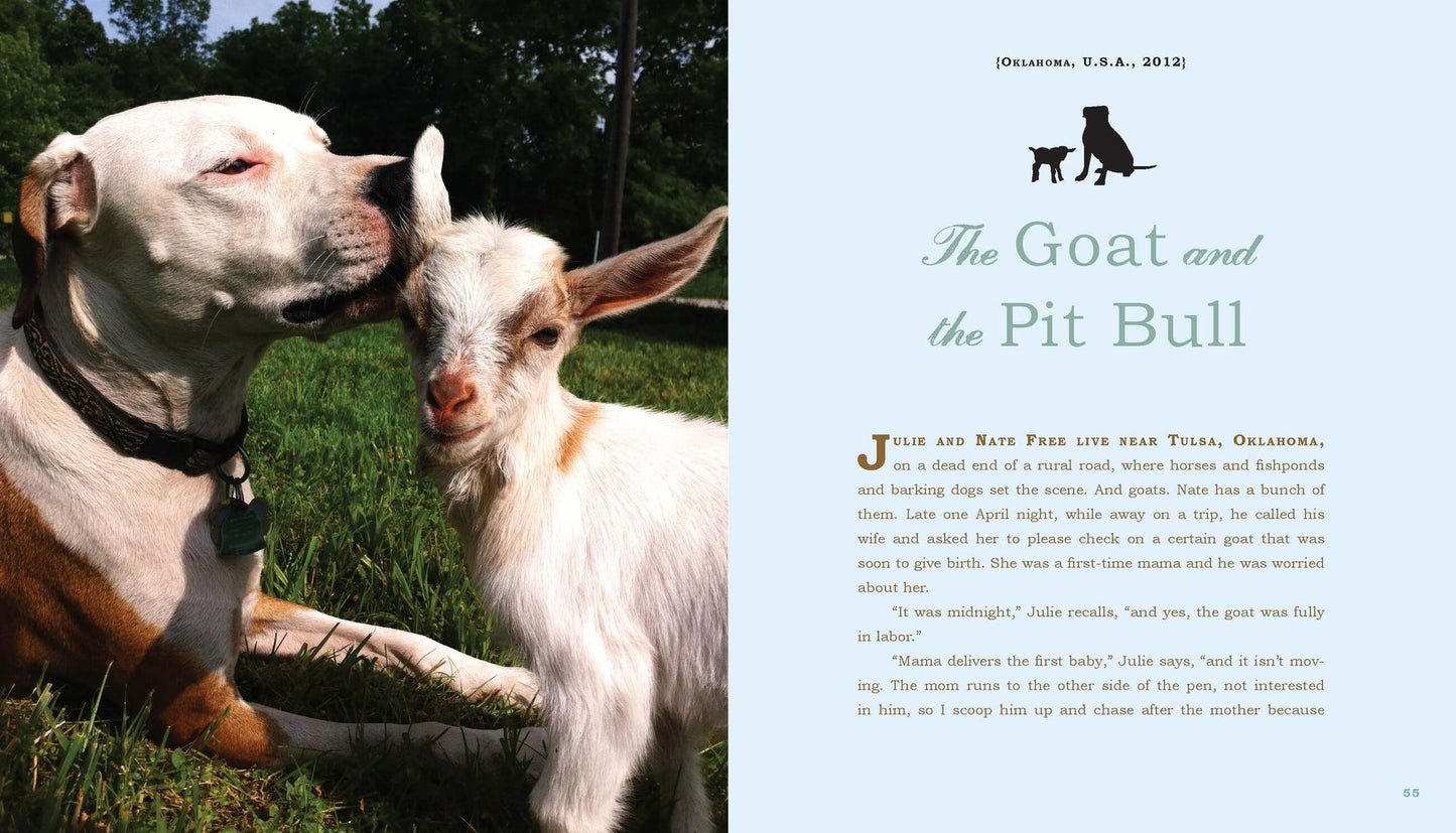 Unlikely Loves: 43 Heartwarming True Stories from the Animal Kingdom