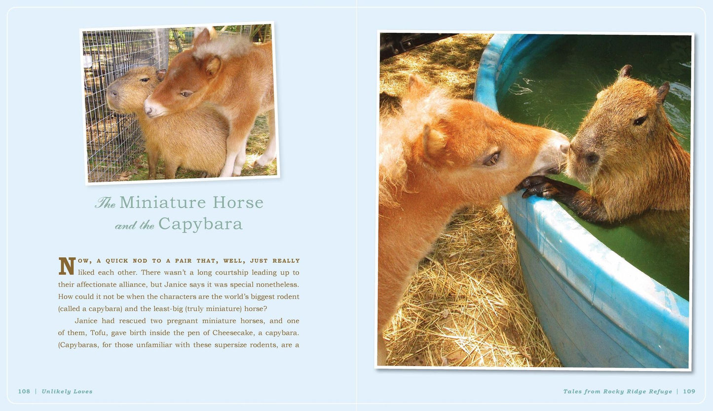 Unlikely Loves: 43 Heartwarming True Stories from the Animal Kingdom