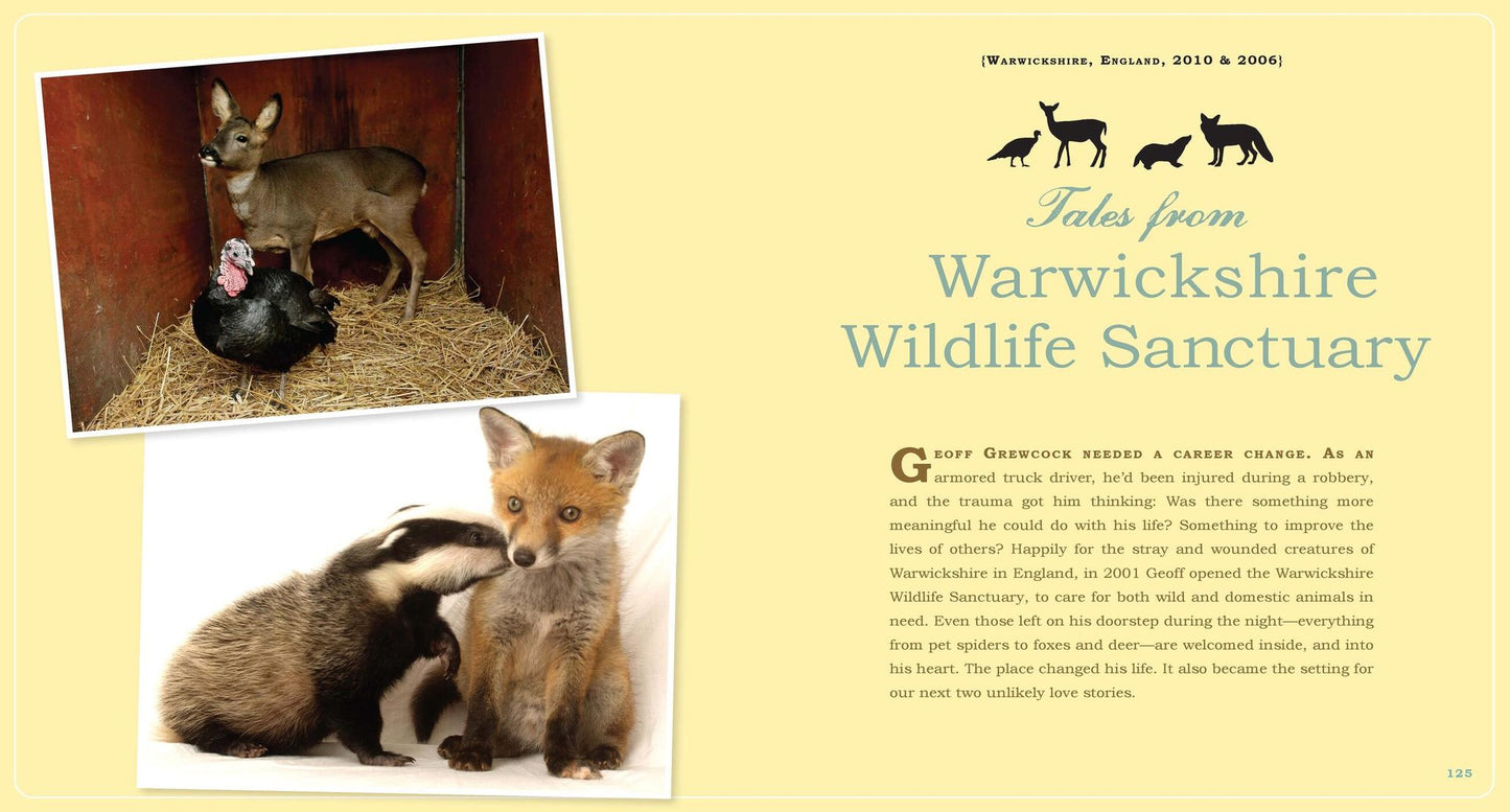 Unlikely Loves: 43 Heartwarming True Stories from the Animal Kingdom