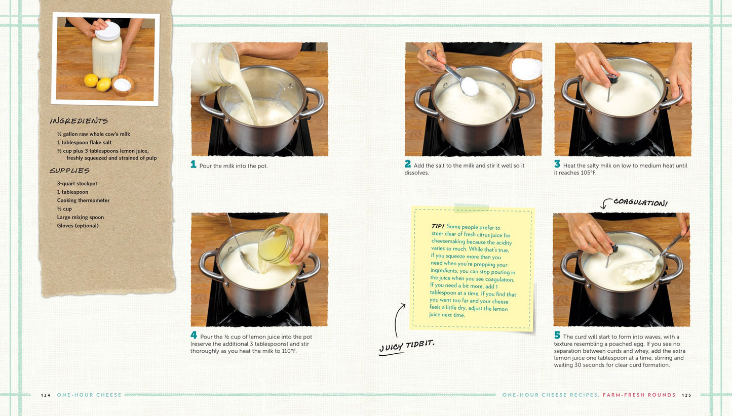 One-Hour Cheese: Ricotta, Mozzarella, Chevre, Paneer--Even Burrata. Fresh and Simple Cheeses You Can Make in an Hour or Less!