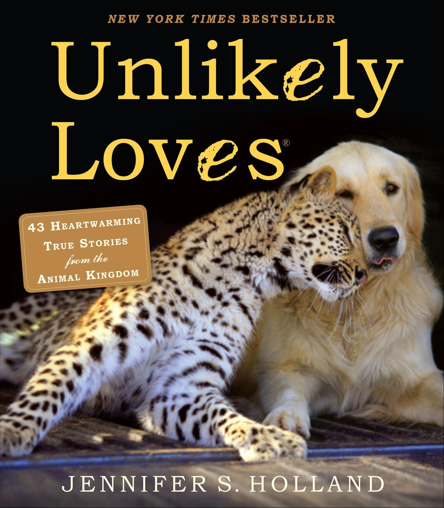 Unlikely Loves: 43 Heartwarming True Stories from the Animal Kingdom