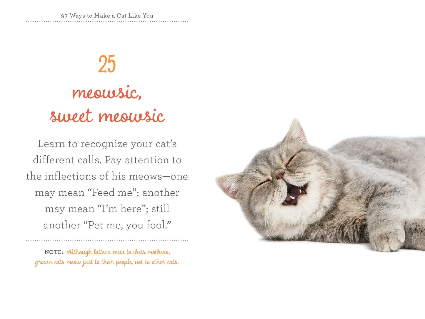 97 Ways to Make a Cat Like You