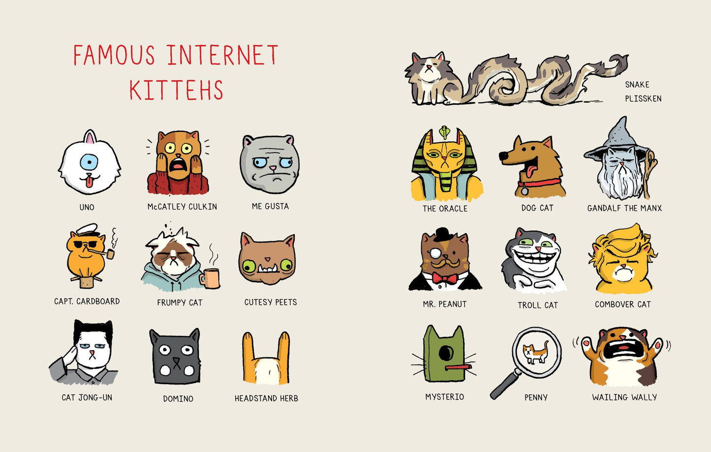 Some Very Interesting Cats Perhaps You Weren't Aware Of