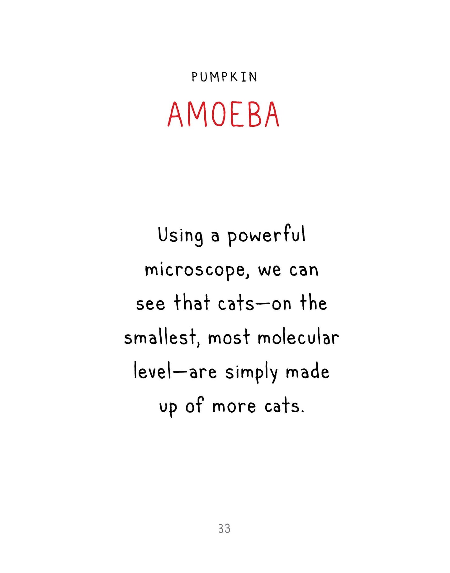 Some Very Interesting Cats Perhaps You Weren't Aware Of