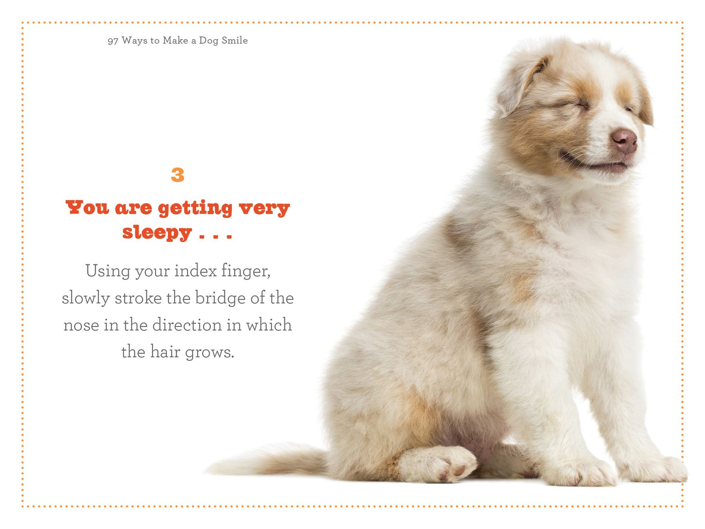 97 Ways to Make a Dog Smile