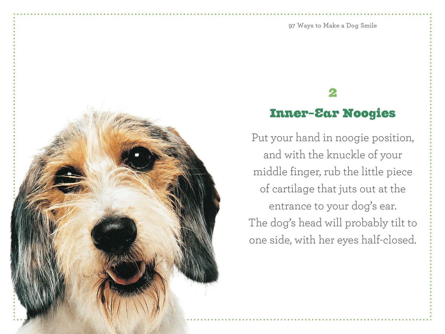 97 Ways to Make a Dog Smile