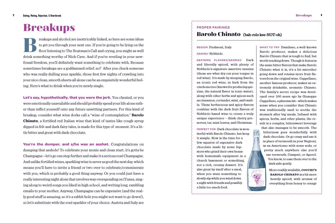 This Calls for a Drink!: The Best Wines and Beers to Pair with Every Situation