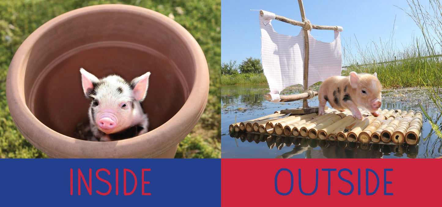 Pocket Piggies Opposites!: Featuring the Teacup Pigs of Pennywell Farm