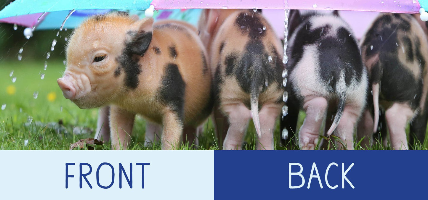 Pocket Piggies Opposites!: Featuring the Teacup Pigs of Pennywell Farm