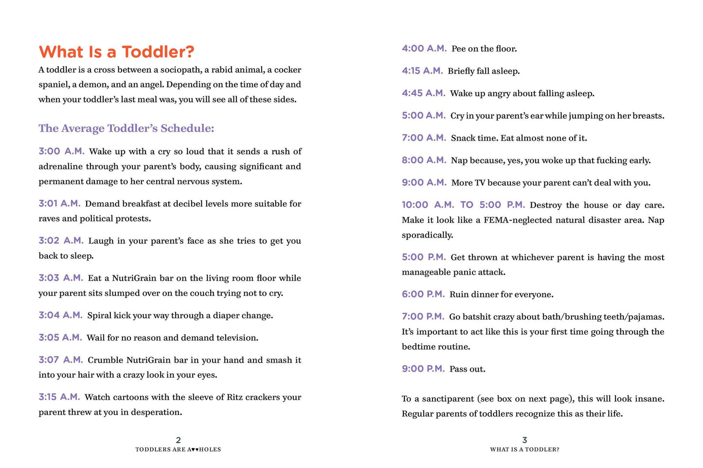 Toddlers Are A**holes: It's Not Your Fault