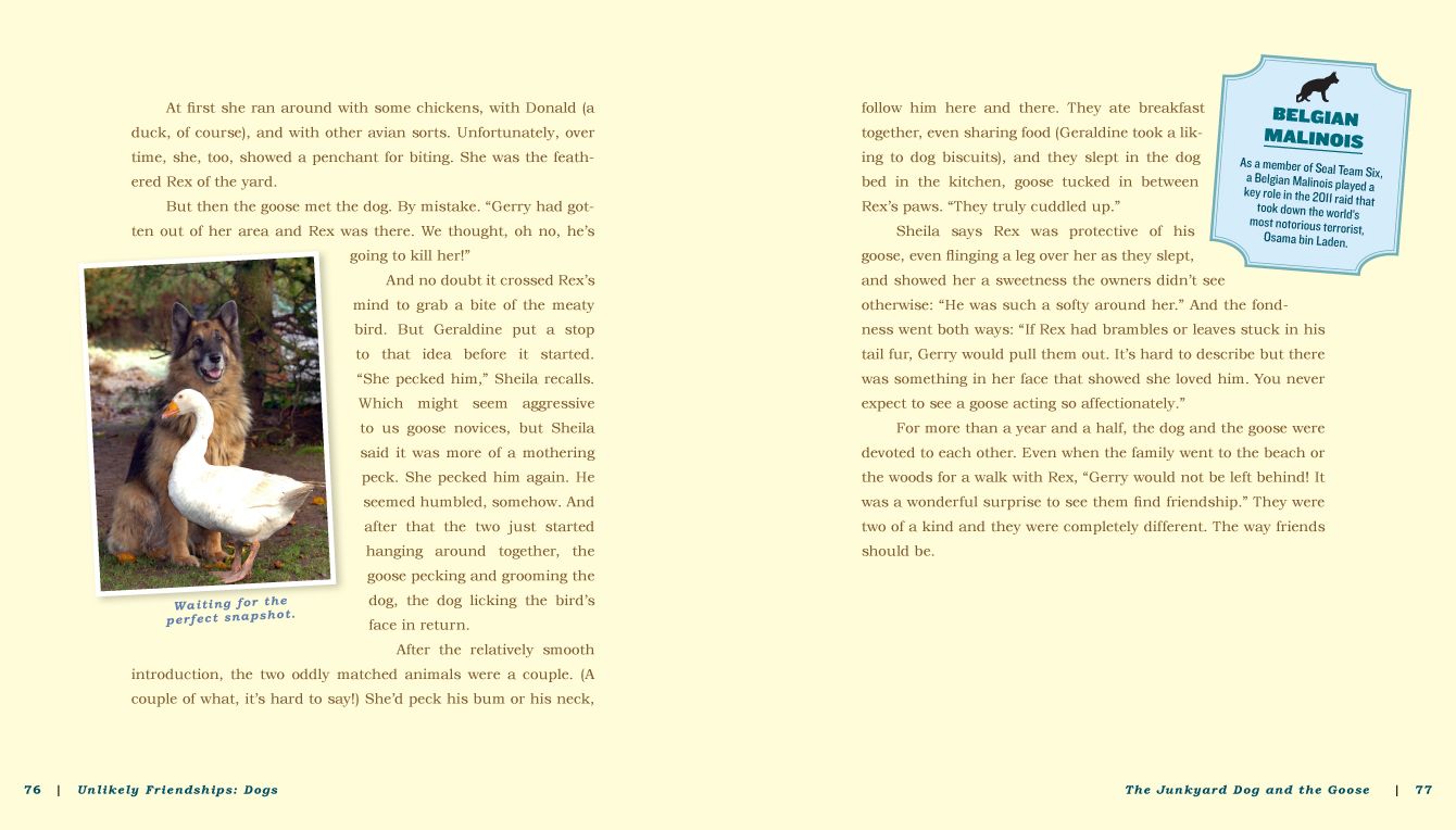 Unlikely Friendships: Dogs: 37 Stories of Canine Compassion and Courage