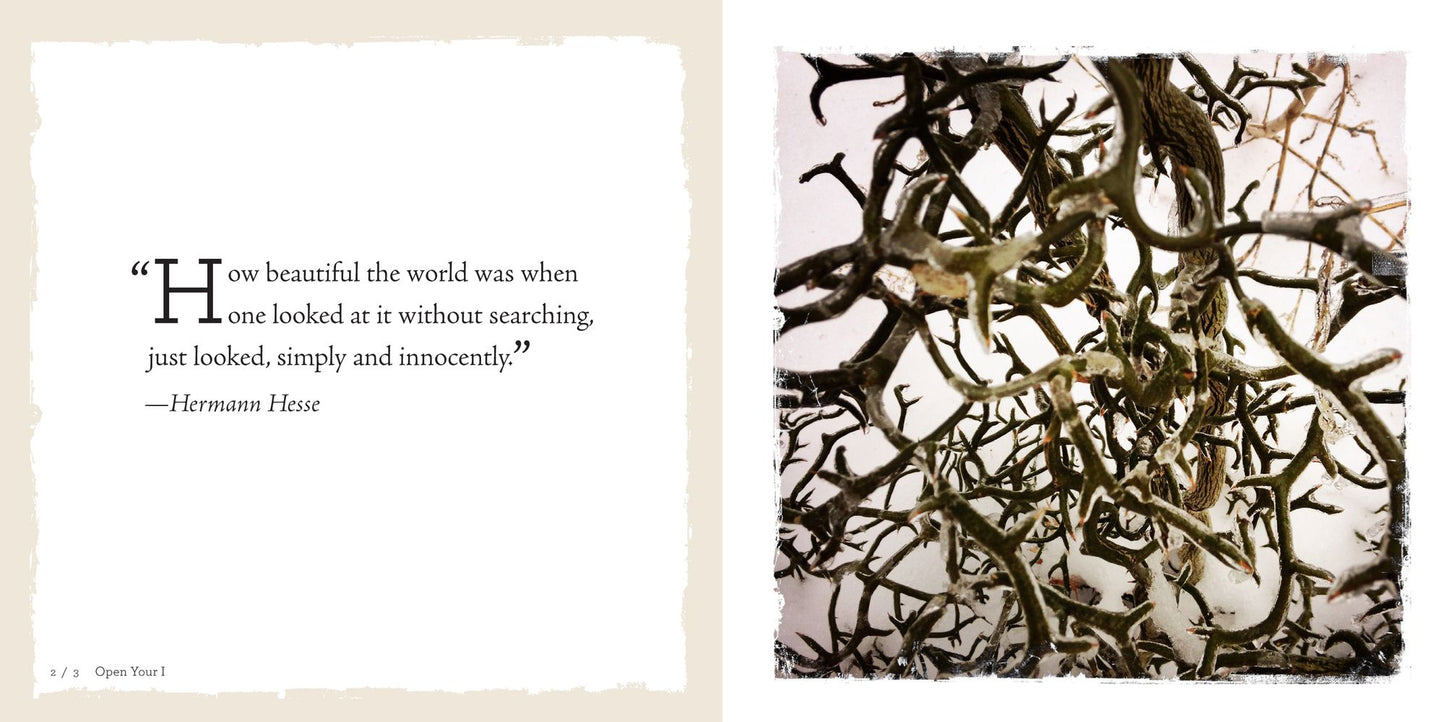 See Your Way to Mindfulness: Ideas and Inspiration to Open Your I