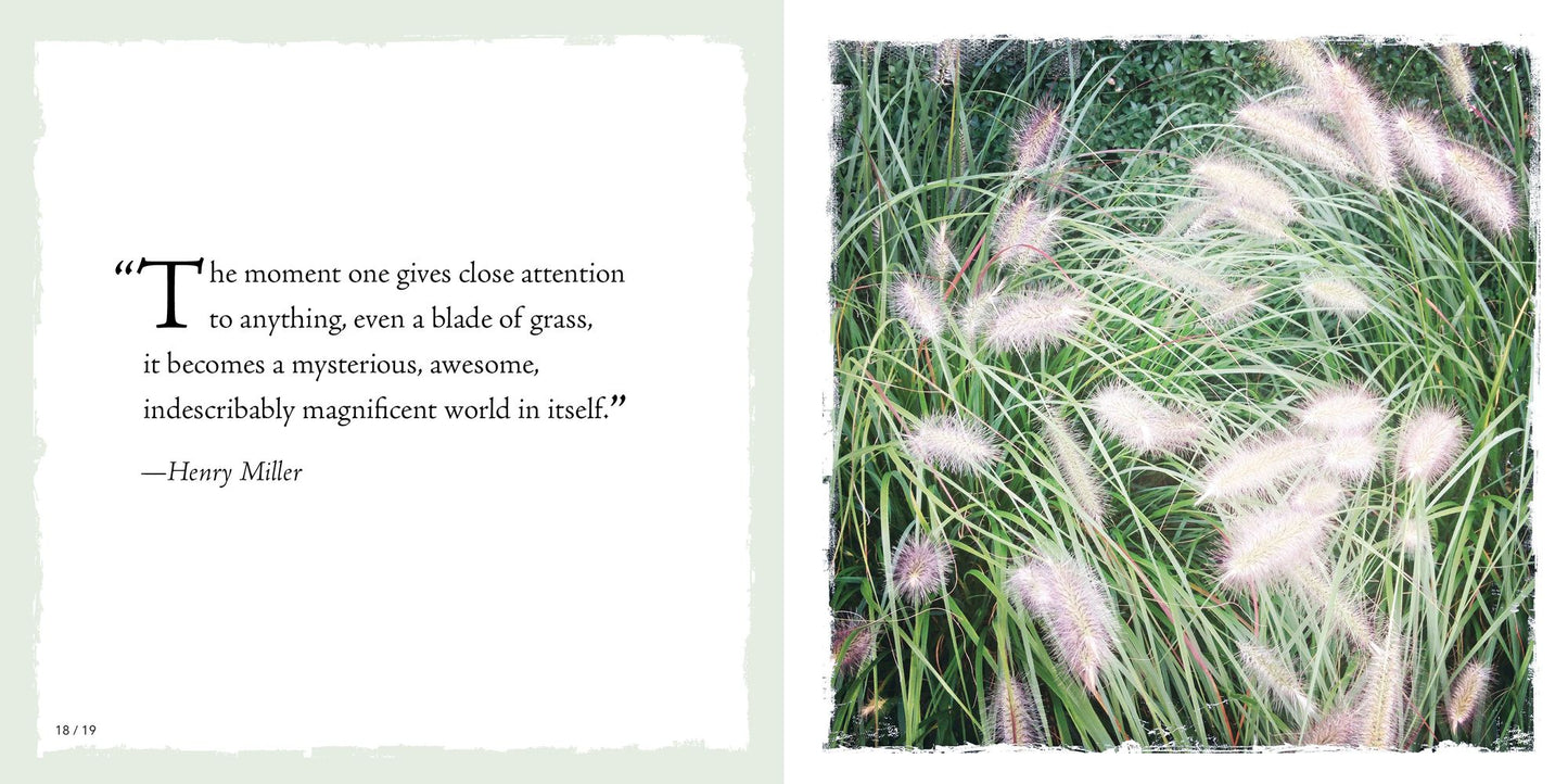 See Your Way to Mindfulness: Ideas and Inspiration to Open Your I
