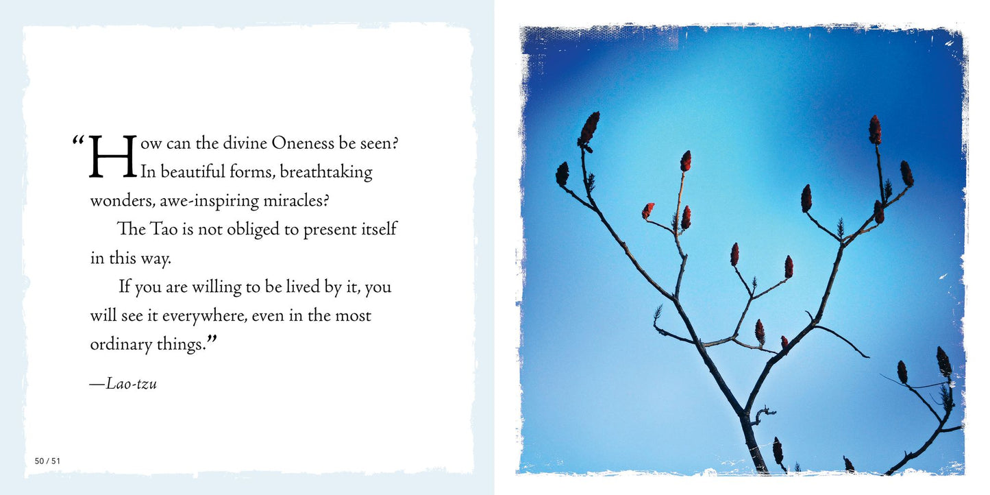See Your Way to Mindfulness: Ideas and Inspiration to Open Your I