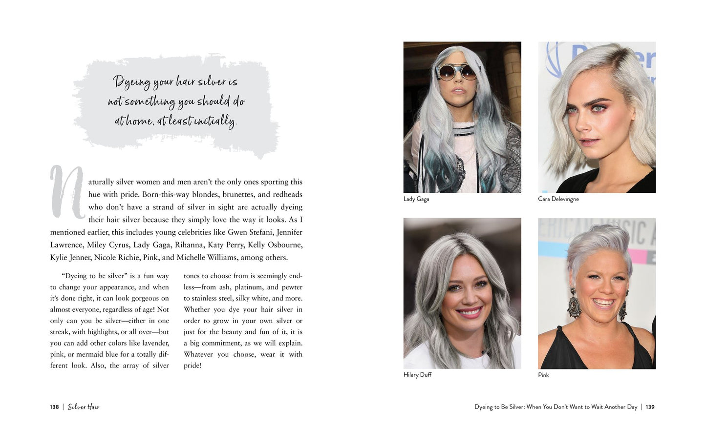 Silver Hair: Say Goodbye to the Dye and Let Your Natural Light Shine: A Handbook