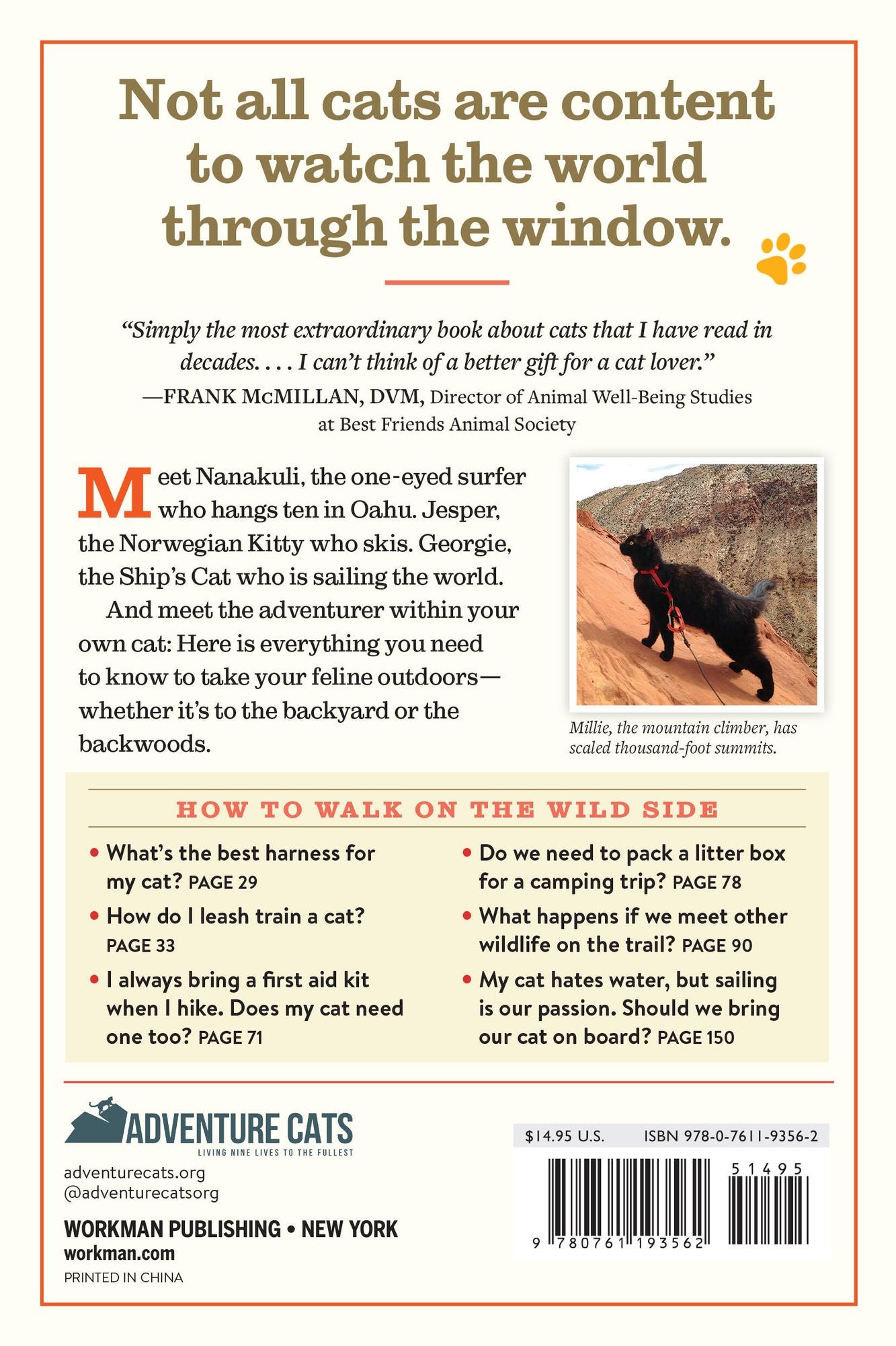 Adventure Cats: Living Nine Lives to the Fullest