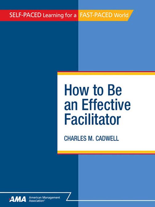 How To Be An Effective Facilitator: EBook Edition