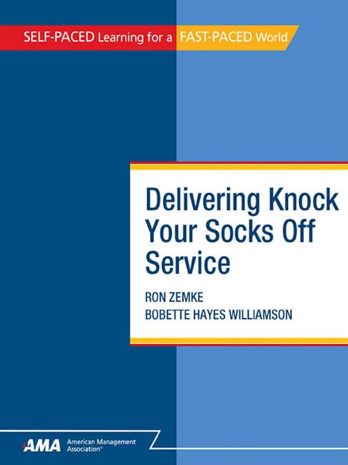Delivering Knock Your Socks Off Service: EBook Edition
