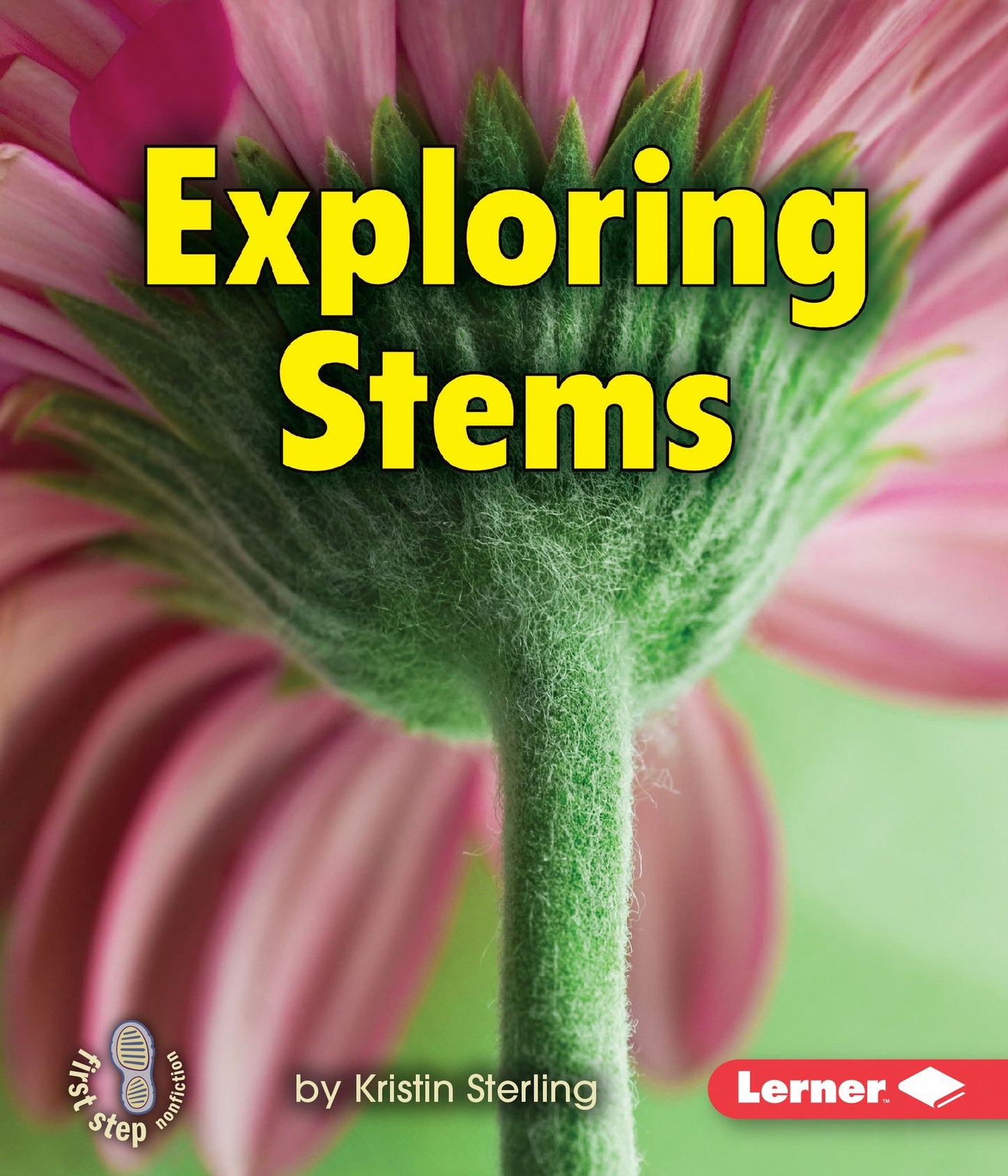Exploring Stems