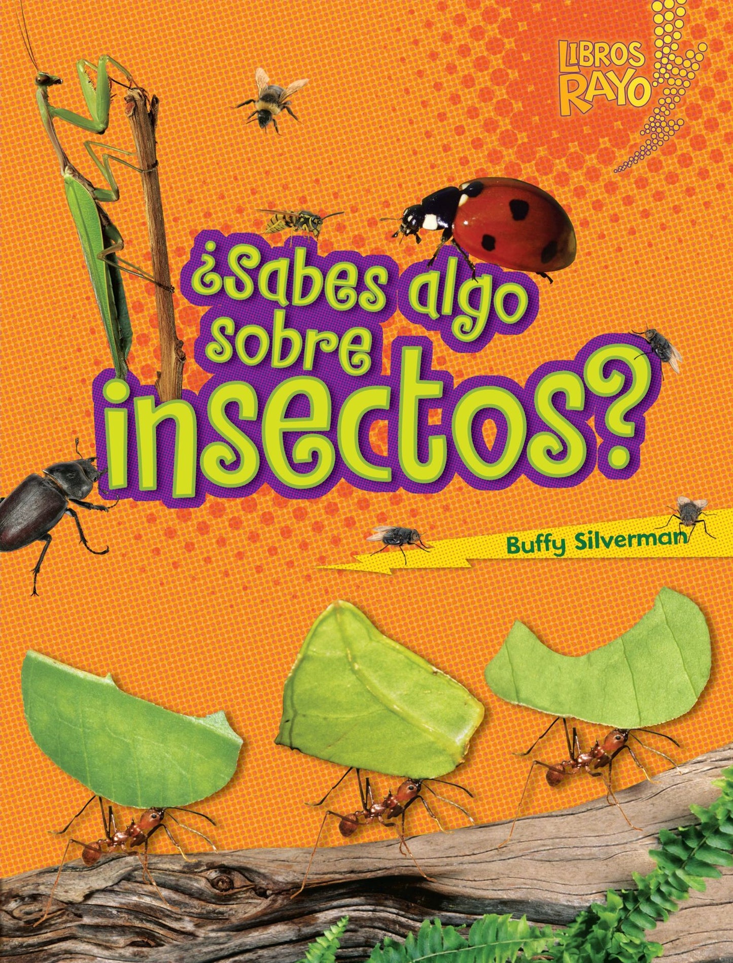 Sabes Algo Sobre Insectos = Do You Know about Insects?