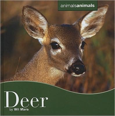 Deer