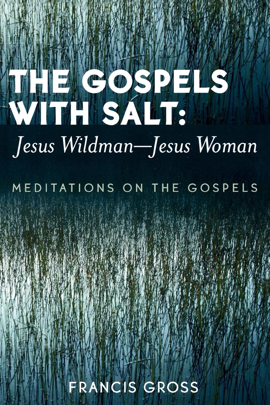 The Gospels with Salt: Jesus Wildman-Jesus Woman: Meditations on the Gospels