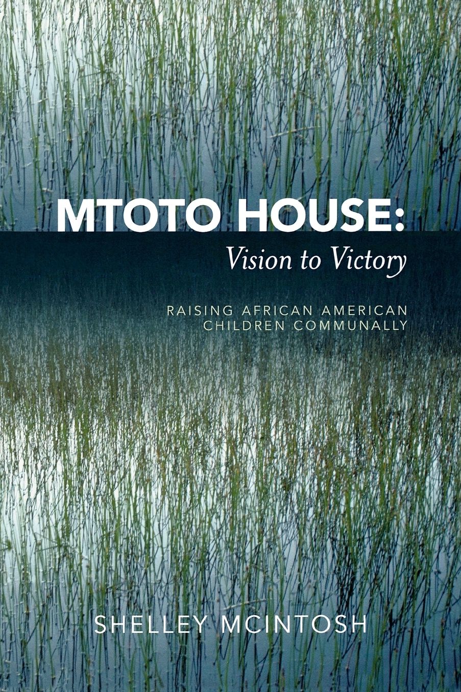 Mtoto House: Vision to Victory: Raising African American Children Communally