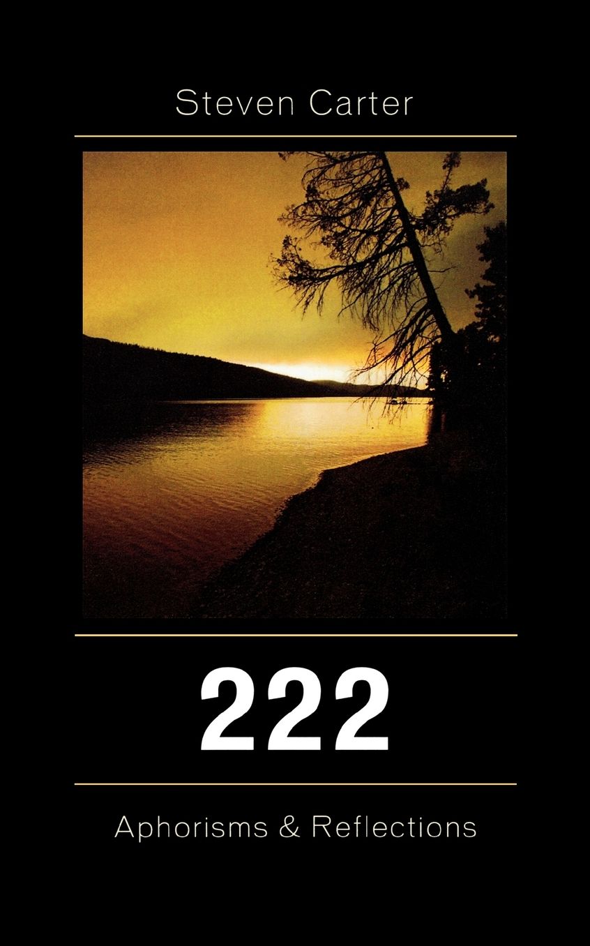 222: Aphorisms & Reflections