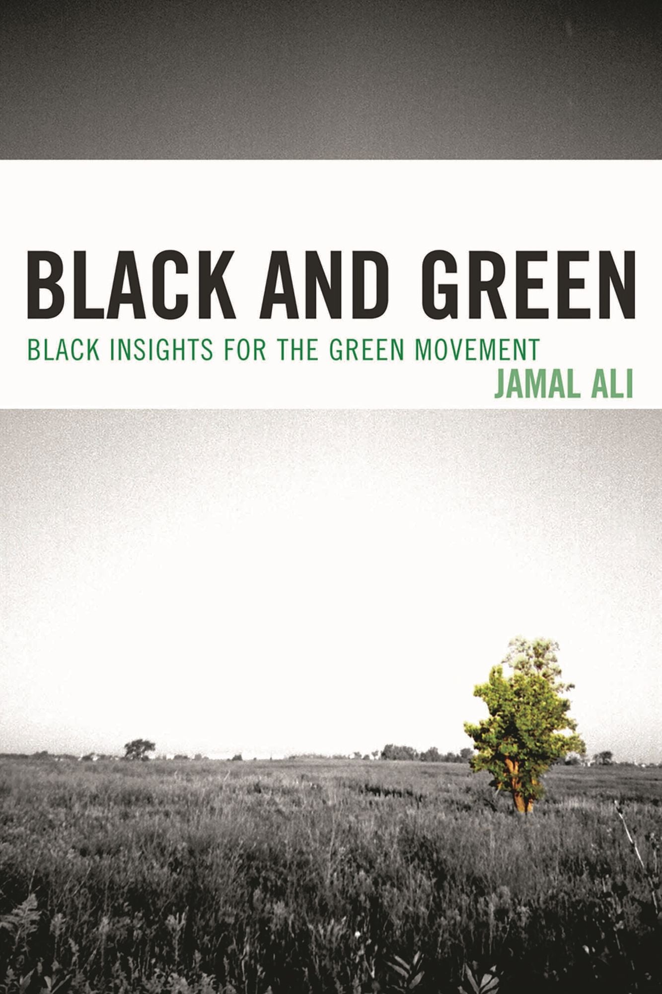 Black and Green: Black Insights for the Green Movement
