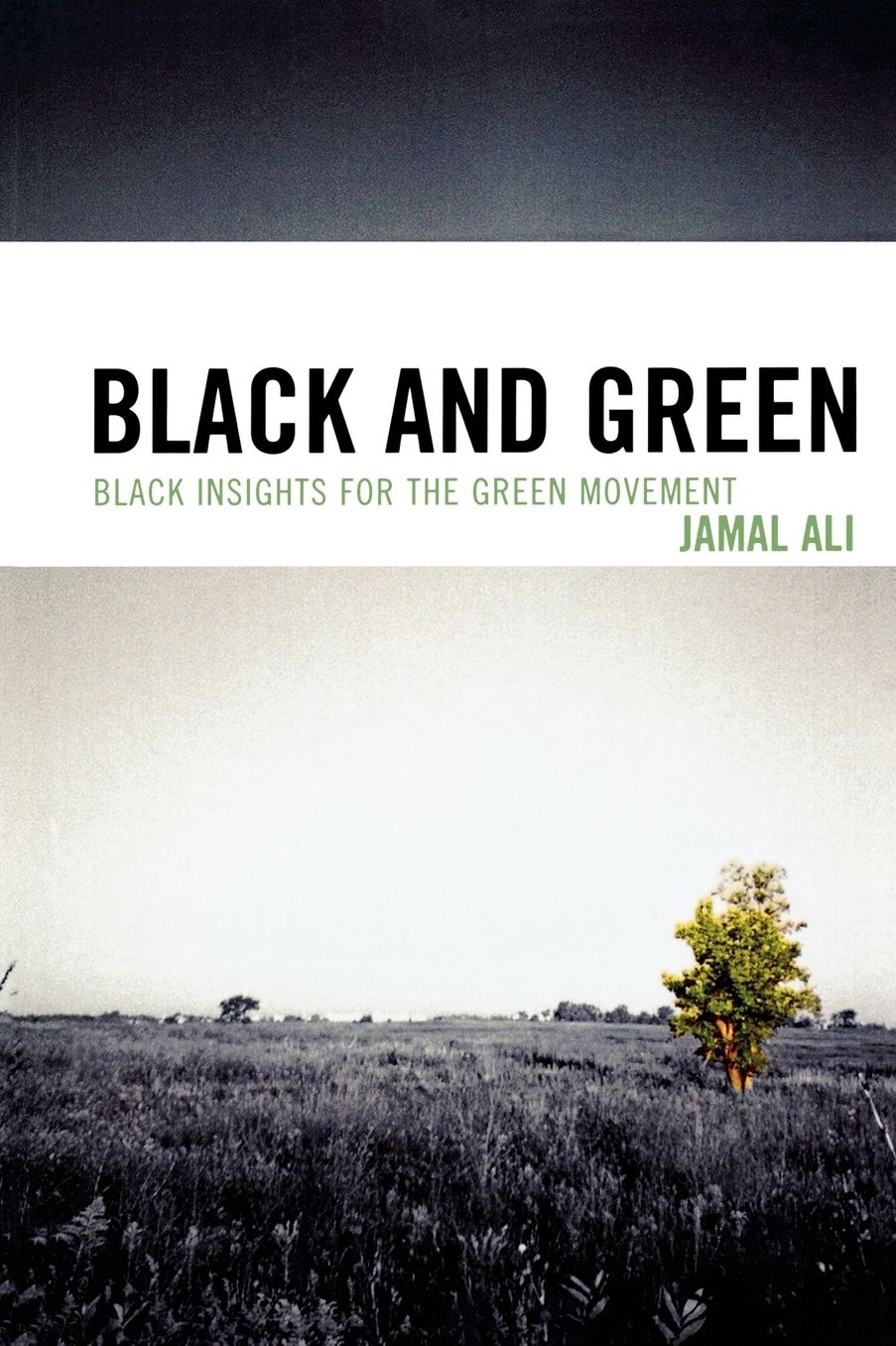Black And Green