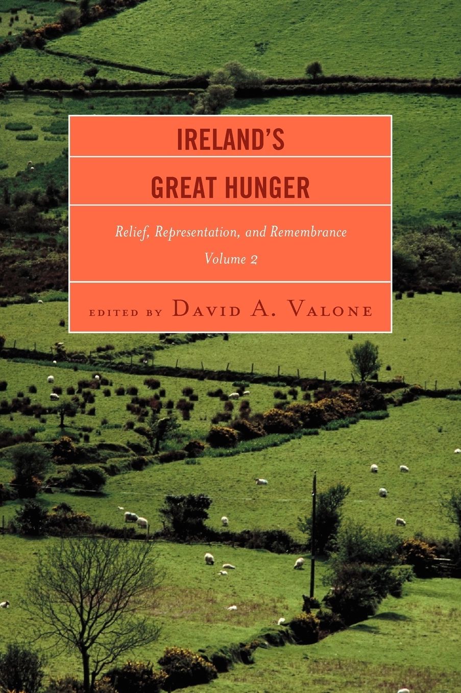 Ireland's Great Hunger, Volume 2: Relief, Representation, and Remembrance