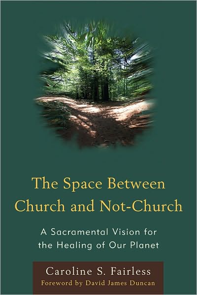 The Space Between Church and Not-Church: A Sacramental Vision for the Healing of Our Planet