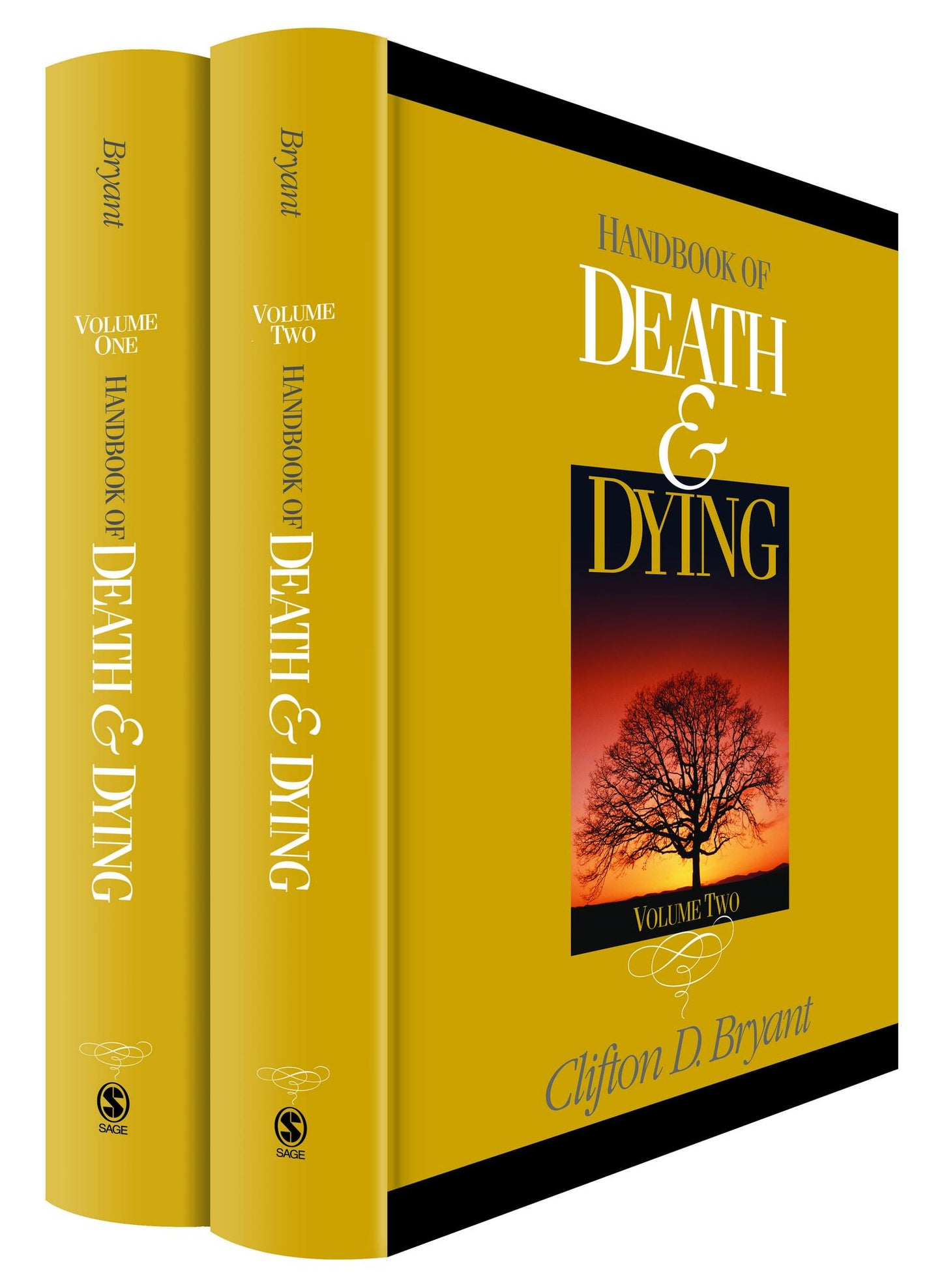 Handbook of Death and Dying
