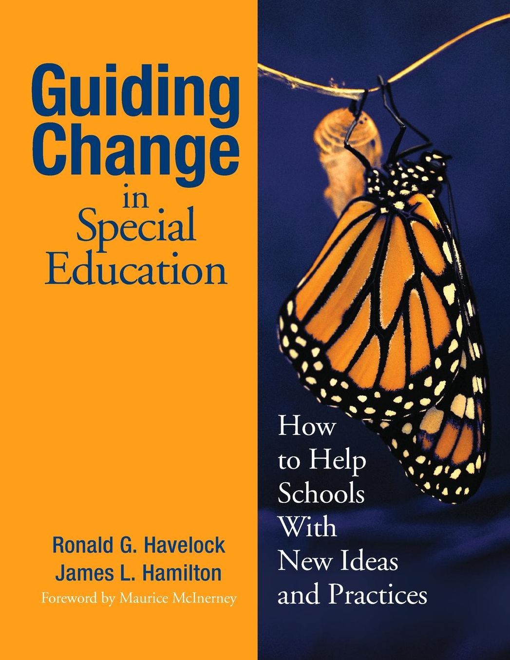 Guiding Change in Special Education : How to Help Schools With New Ideas and Practices
