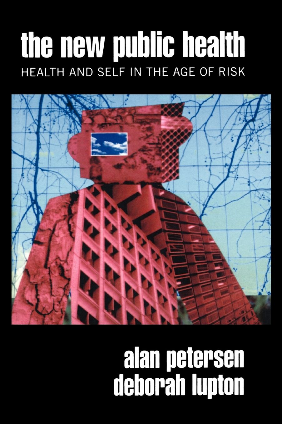 The New Public Health: Discourses, Knowledges, Strategies