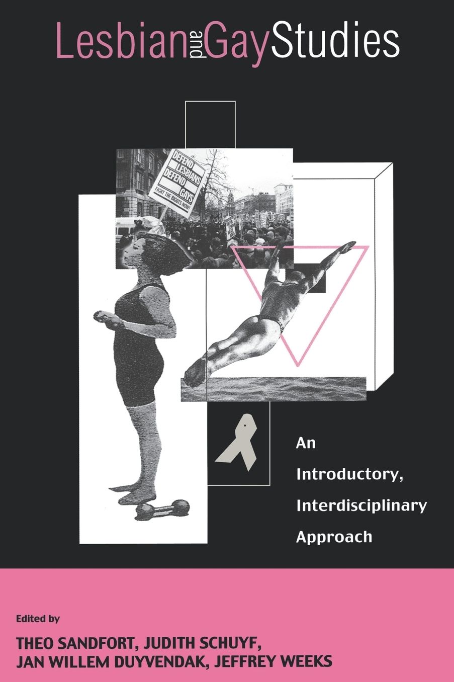 Lesbian and Gay Studies: An Introductory, Interdisciplinary Approach