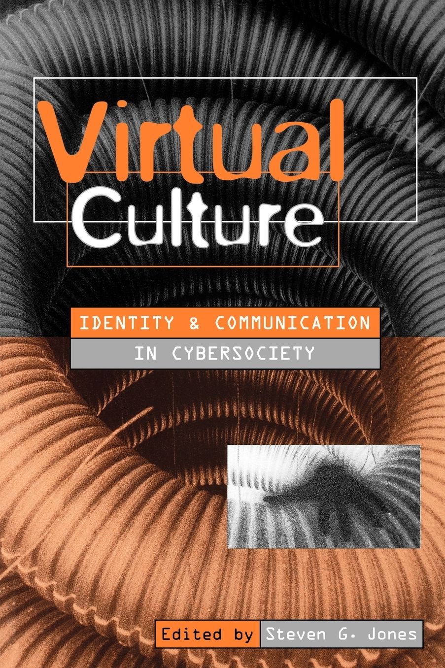 Virtual Culture: Identity and Communication in Cybersociety