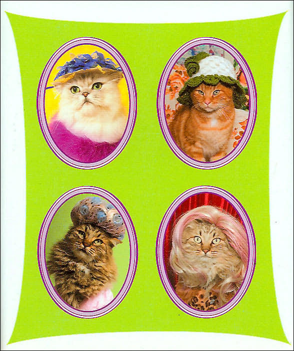 Desperate Housecats