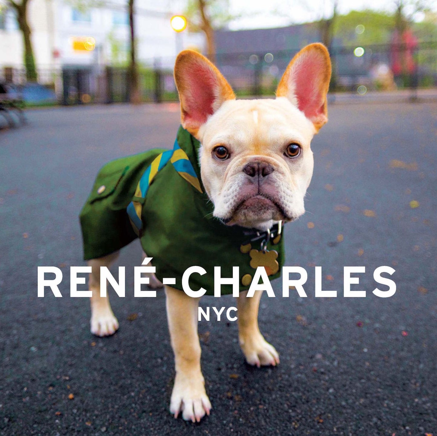 Rene-Charles: NYC: Little Bulldog in the Big City