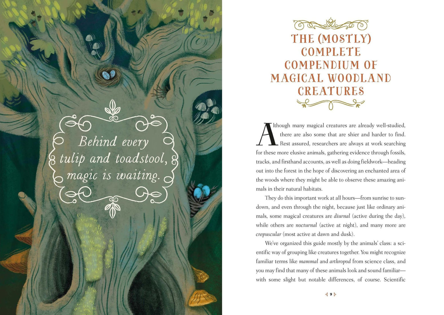 How to Spot a Magical Woodland Creature: A Field Guide to Enchanted Forest Animals