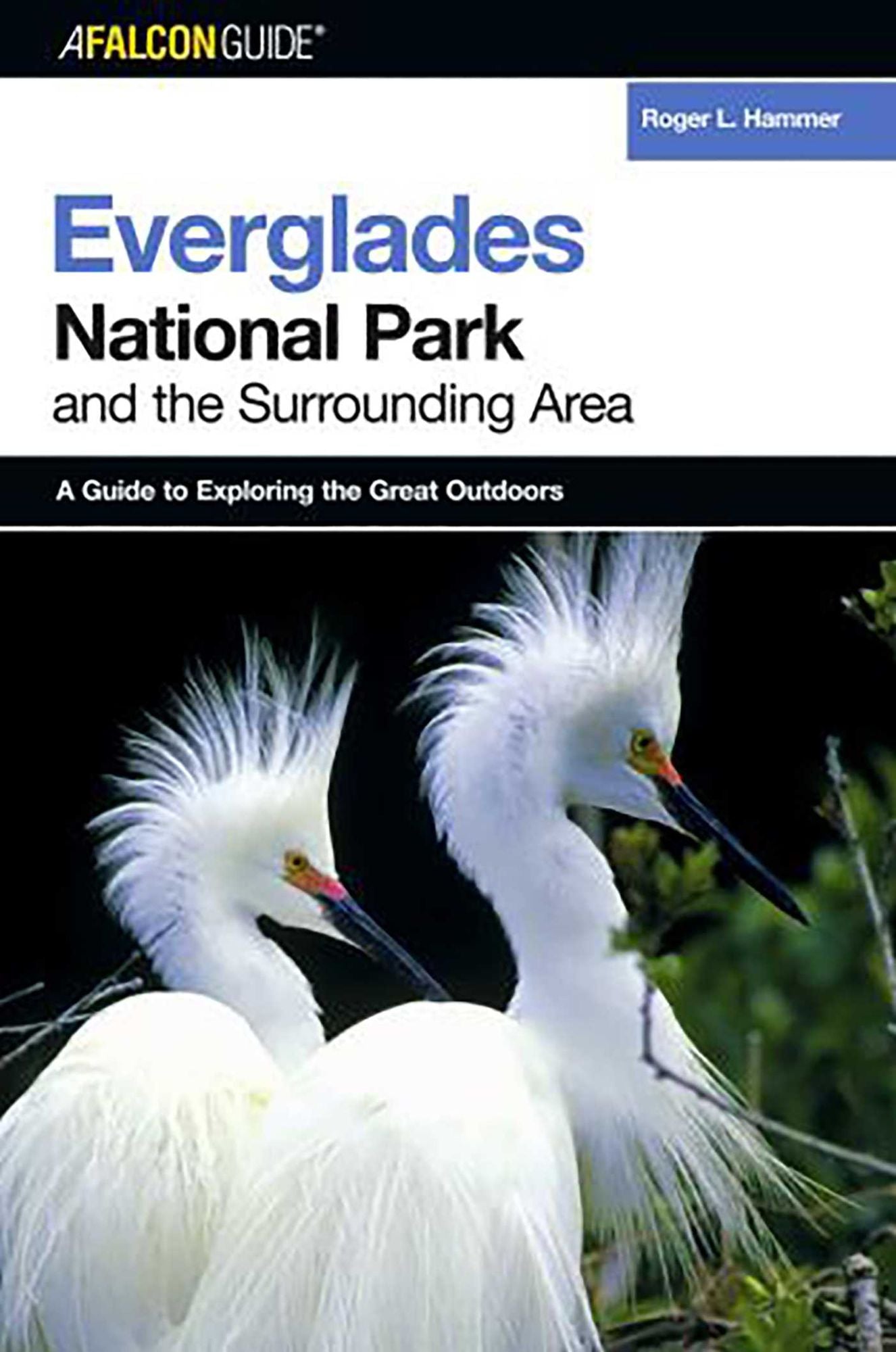 Everglades National Park and the Surrounding Areas: A Guide to Exploring the Great Outdoors