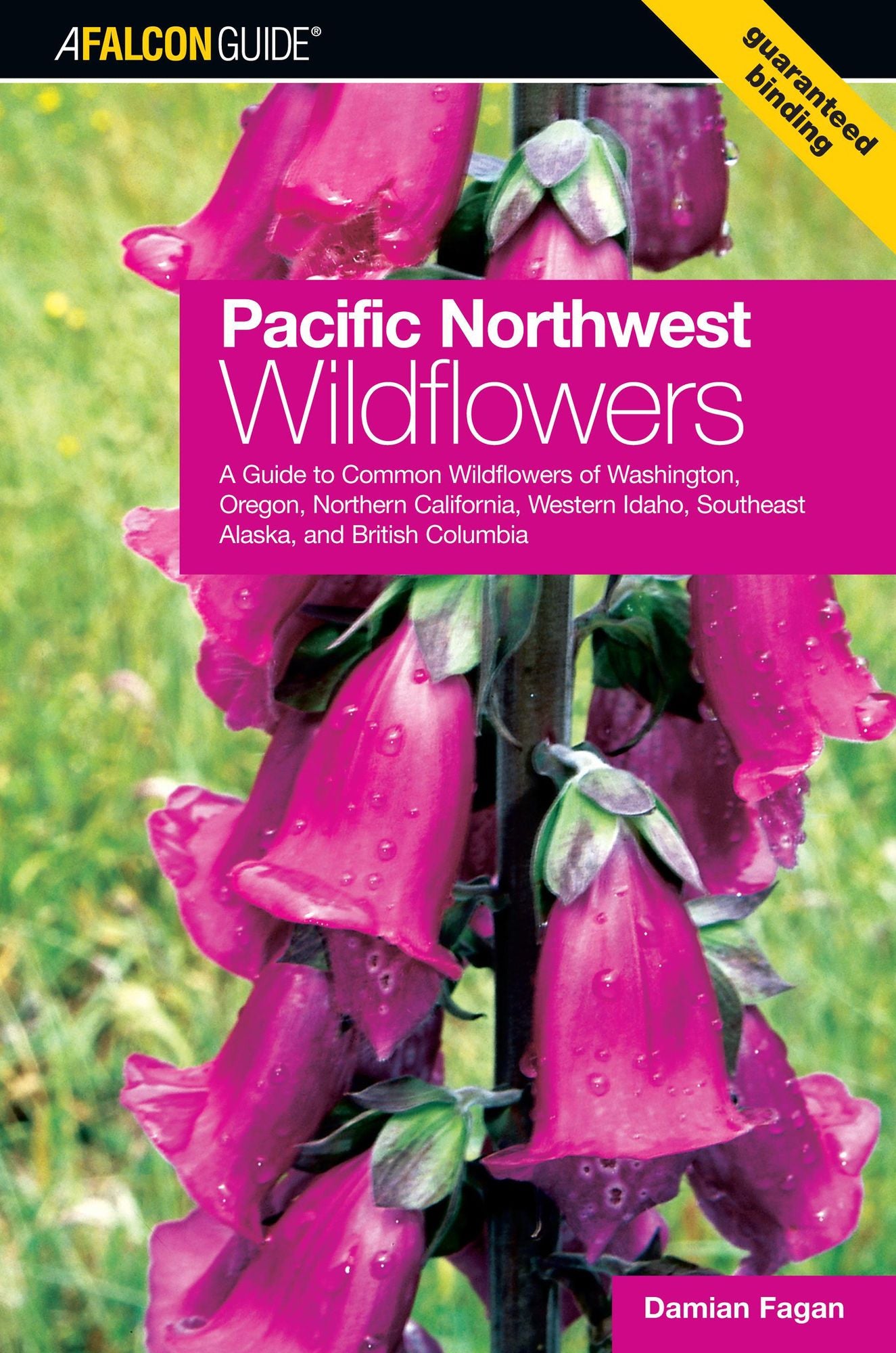 Pacific Northwest Wildflowers: A Guide to Common Wildflowers of Washington, Oregon, Northern California, Western Idaho, Southeast Alaska, and British Columbia