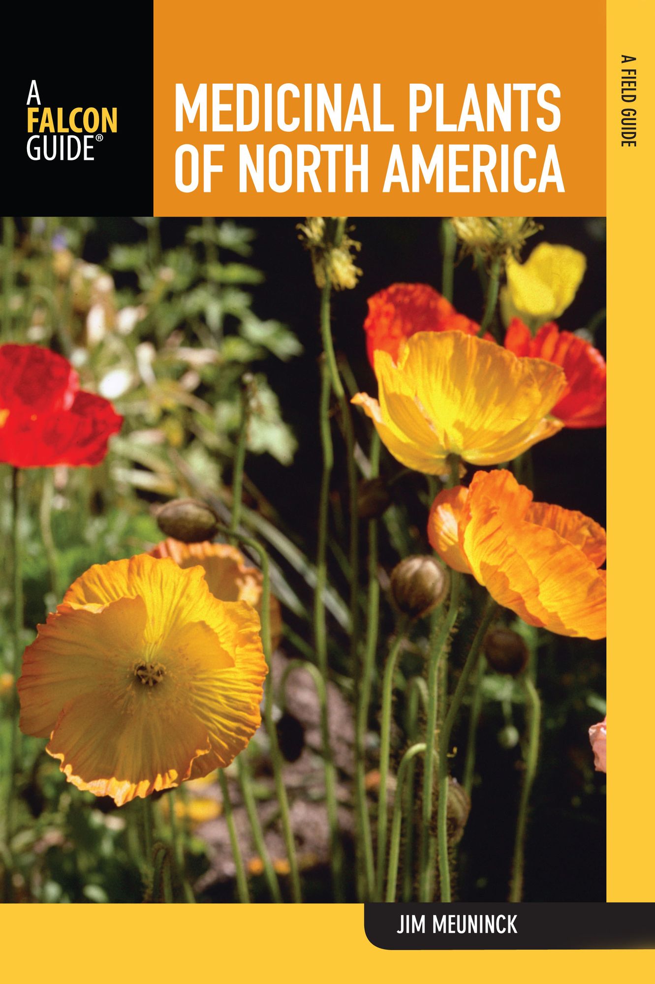 Medicinal Plants of North America: A Forager's Field Guide